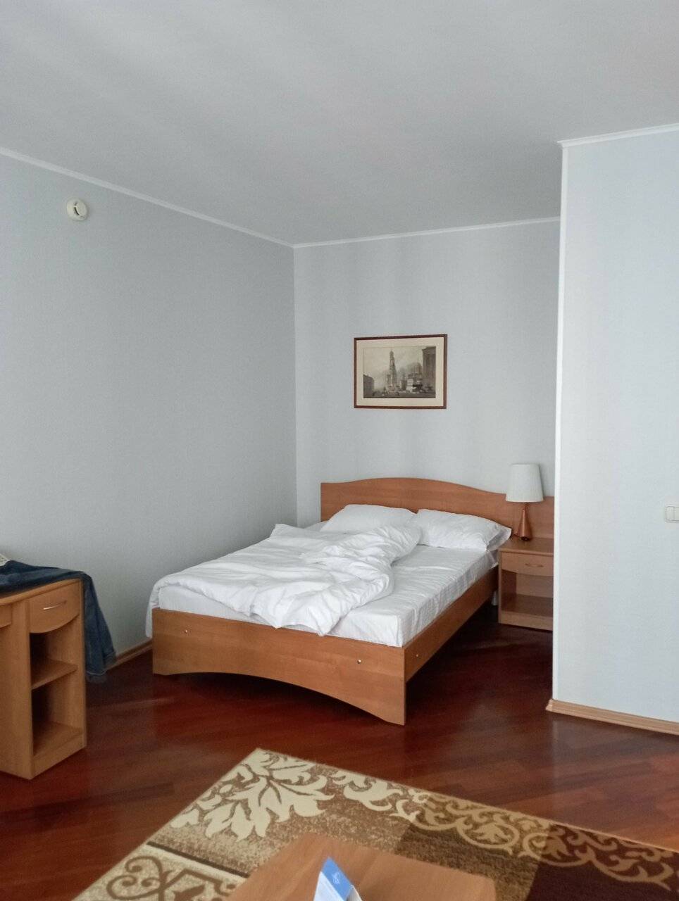 Фото Гостиницы Волга Москва 209